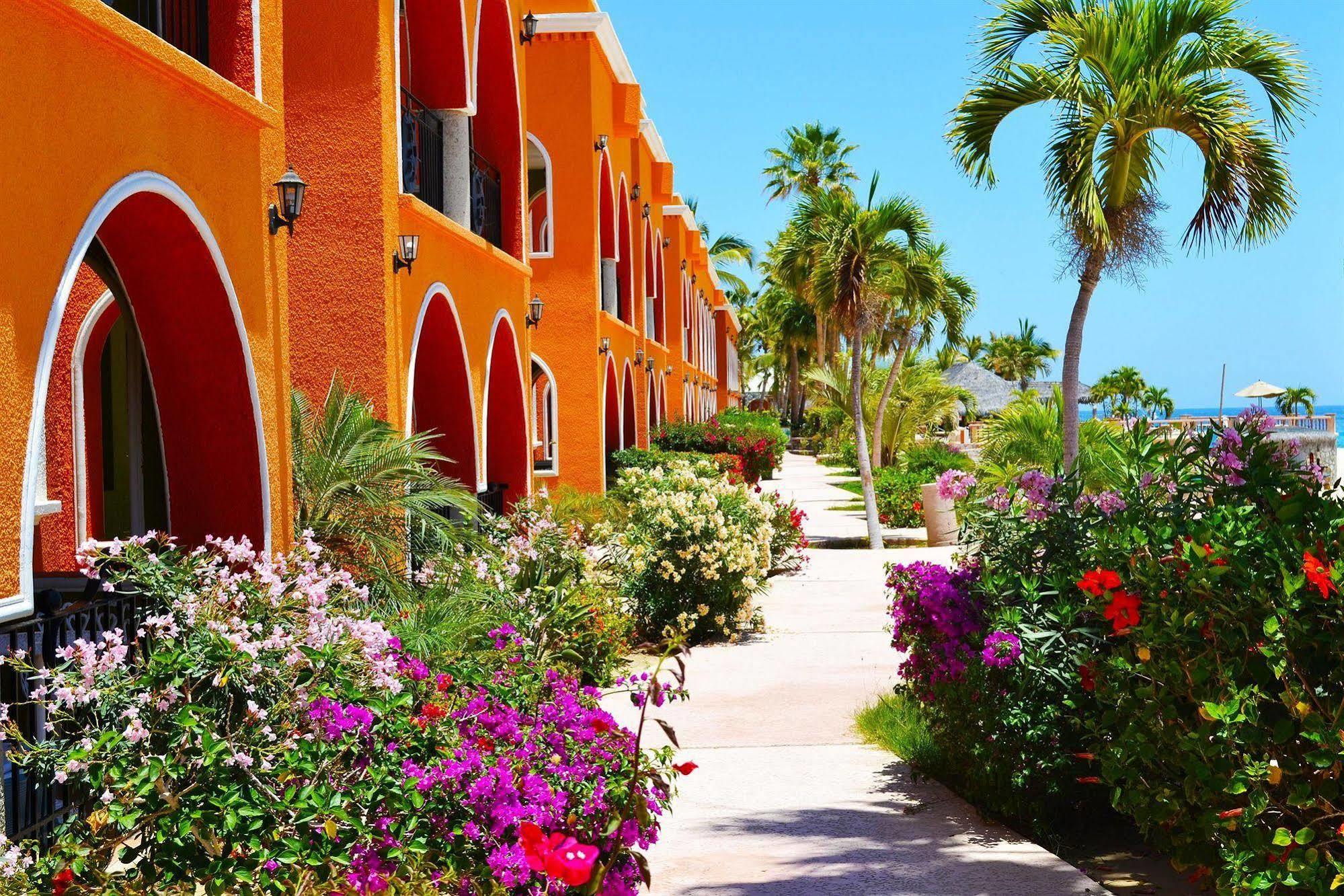 Hotel Palmas De Cortez Los Barriles Exterior foto